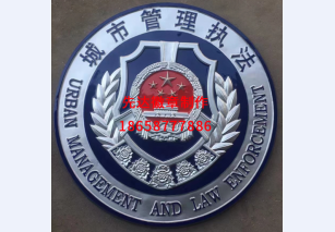 城市管理执法2