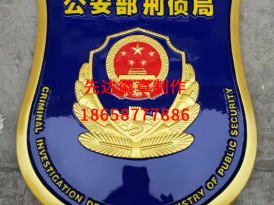 公安部刑侦局