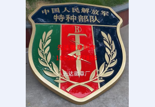 特种部队