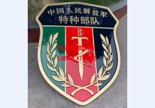 特种部队1