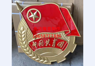 中国共青团1