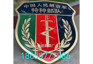 特种部队队徽
